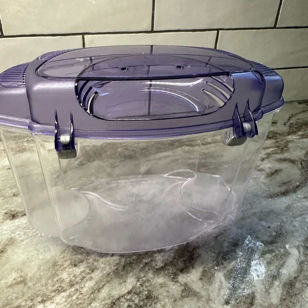 Beta fish tank